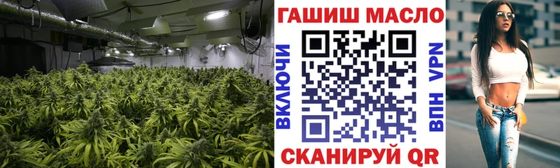 как найти Тайга Дистиллят ТГК THC oil